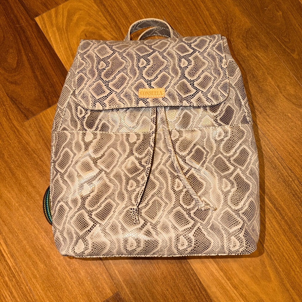 Consuela Dizzy Backpack - image 2